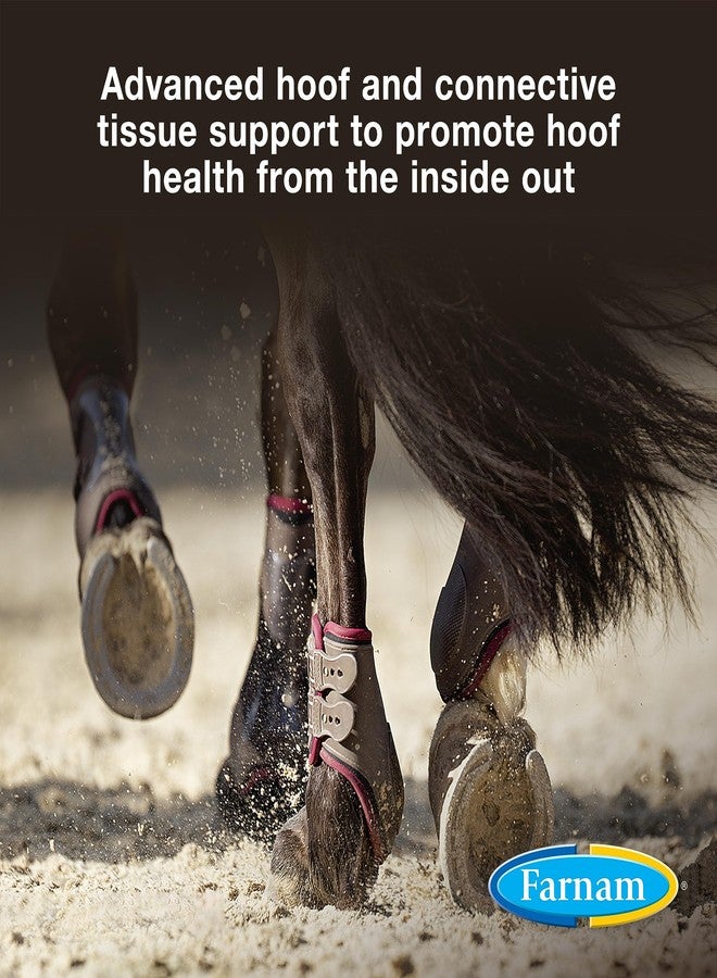 Farnam Horseshoer's Secret EXTRA STRENGTH Hoof Supplements & Connective Tissue Supplement, Promotes strong, healthy hooves, tendons & ligaments, 3.75 lbs., 30 day supply - Image 2